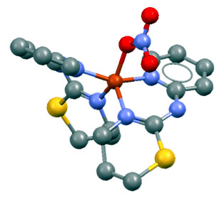 Complex
        molecule