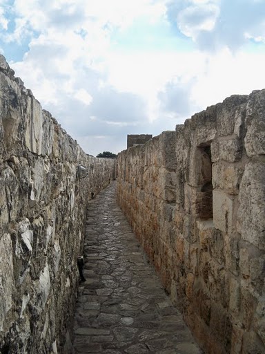 muralla sur